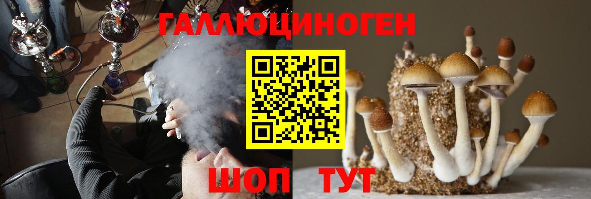Галлюциногенные грибы Psilocybe  Галлюциногенные грибы ЛСД  Вход с VPN  купить   Ногинск 